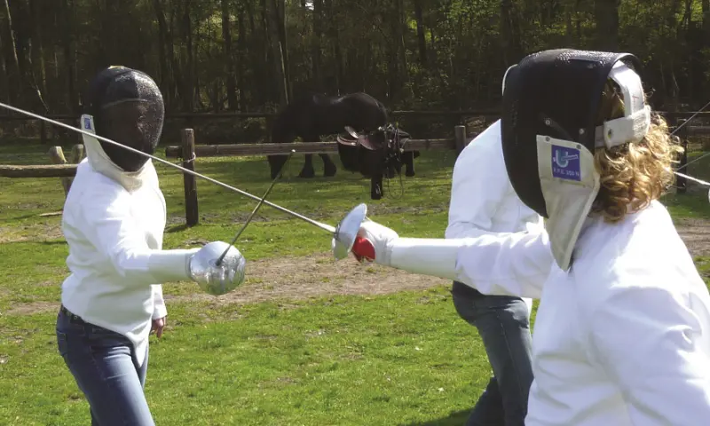 Schermen als bedrijfsuitje