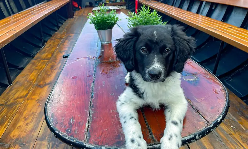 Groep bezoekers op boot
