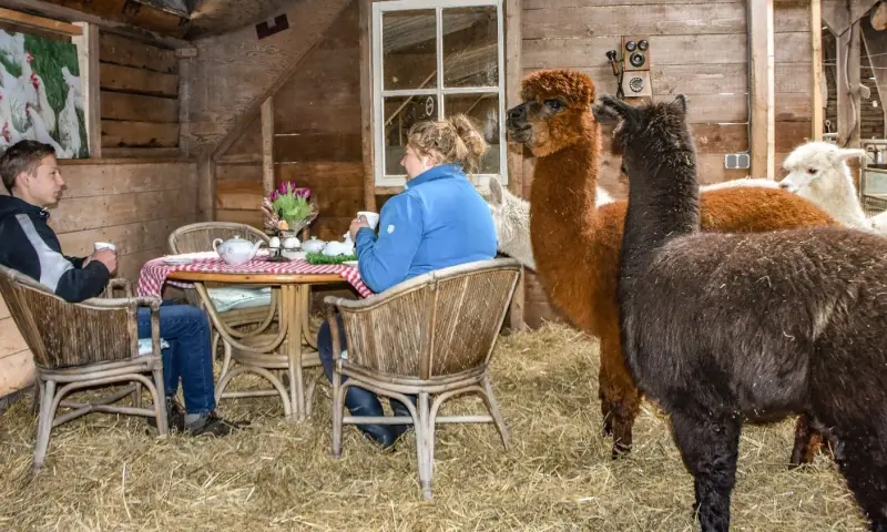 genieten met een grote G