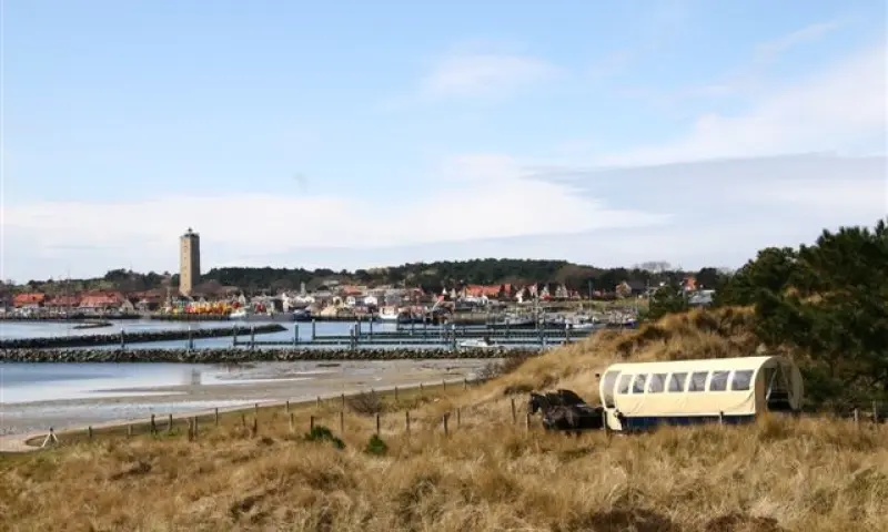 Paarden op het strand