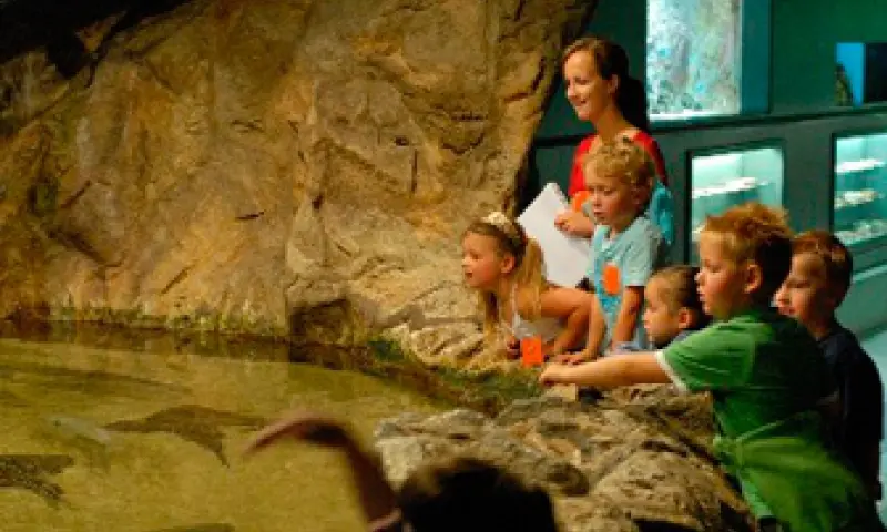 Bezoekers in het zee aquarium