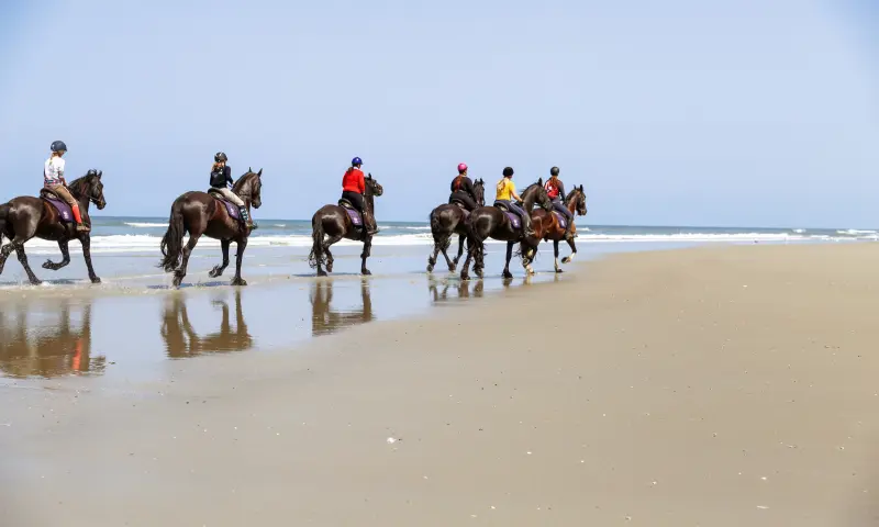 Paardrijden op strand