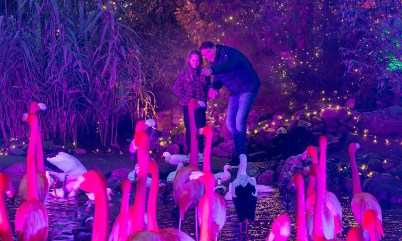 De magie van WinterDroom