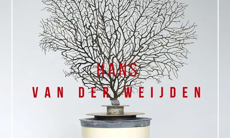 De Zee - Hans van der Weijden