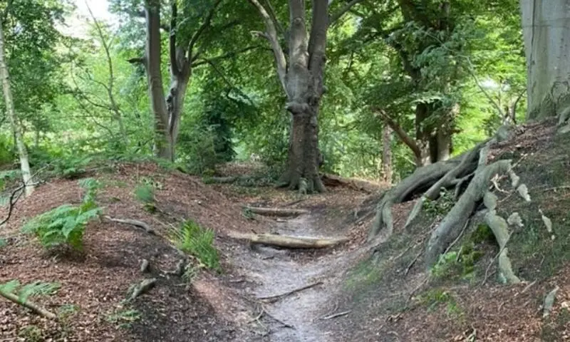 Avontuurlijk wandelen Vilsteren