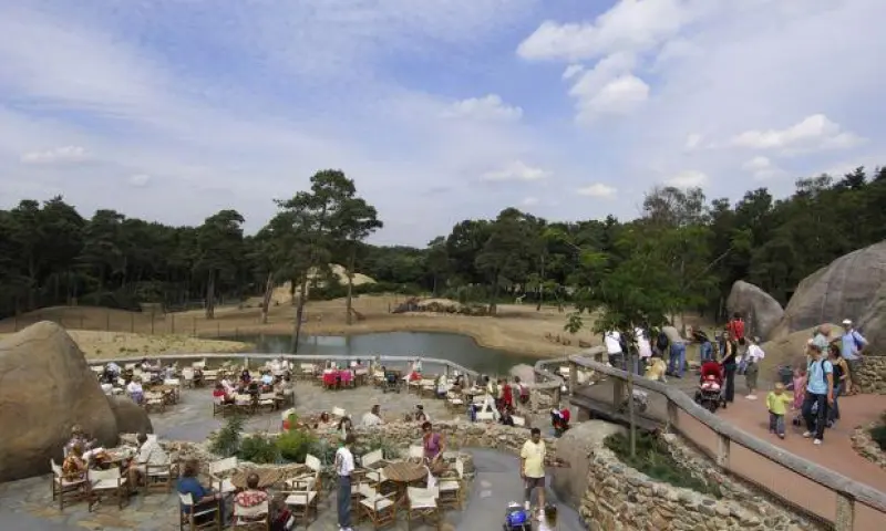 Dierentuin vol gasten