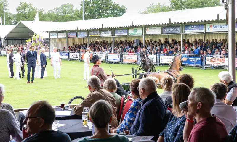 een kampioensrubriek wordt verreden