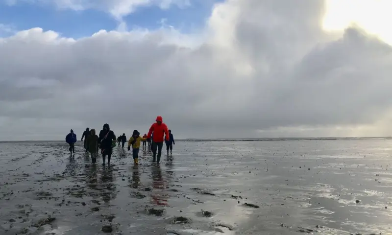 Winterwad op Schiermonnikoog