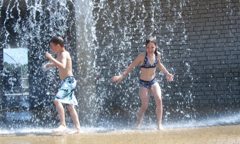 Kinderen Maarsseveense plassen
