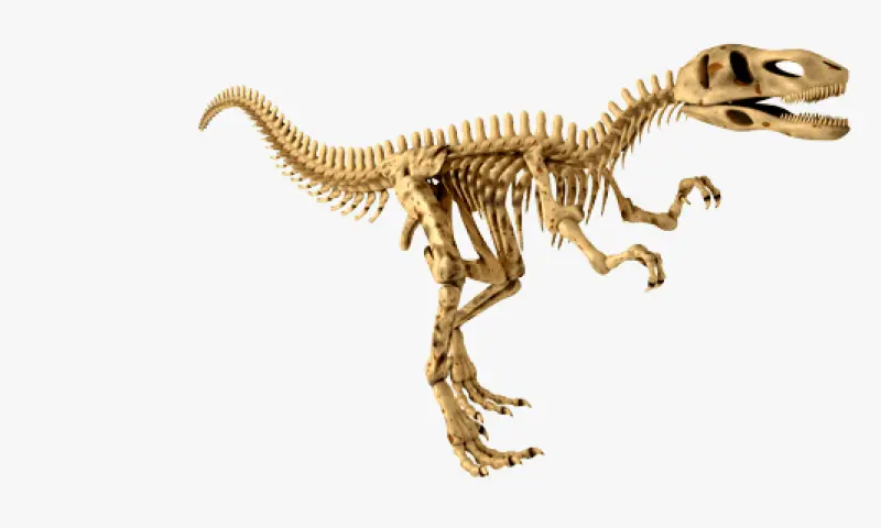 Dinosaurus in het museum