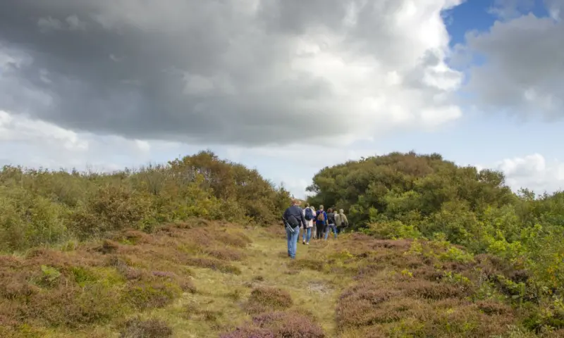 Zwerven door ongerept Zwanenwater - dagtocht