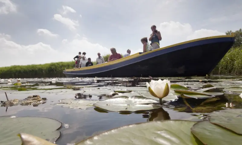 Varen door natuurgebied Botshol in Utrecht