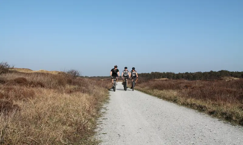 Door de duinen