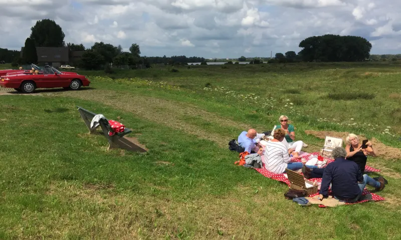 Picknicken
