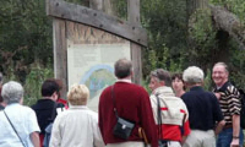 Wandelen