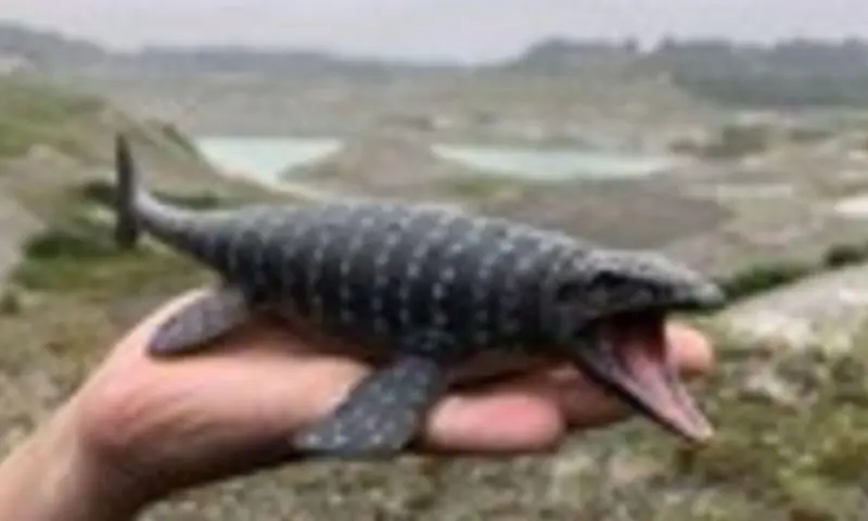 OERRR - Op zoek naar fossielen