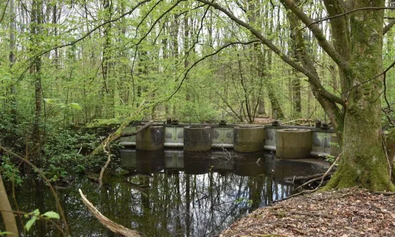 Ontdek de waterwerken in het Waterloopbos