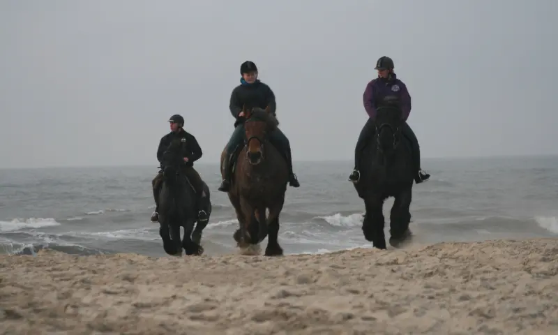 Deelnemers ruitertocht strand Texel