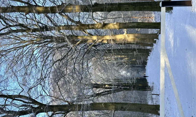 Utrechtse Heuvelrug