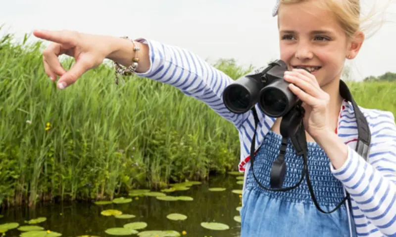 OERRR Watersafari - Varen op het Naardermeer