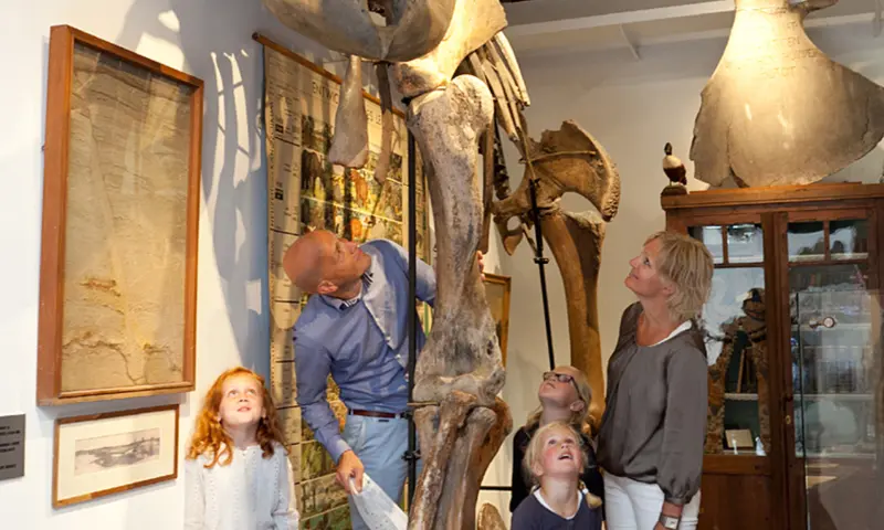 Bezoekers tijdens de activiteit