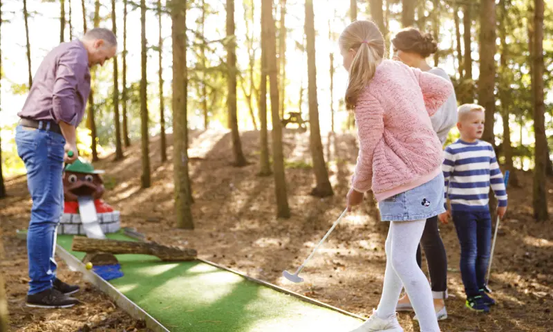 Mini golf