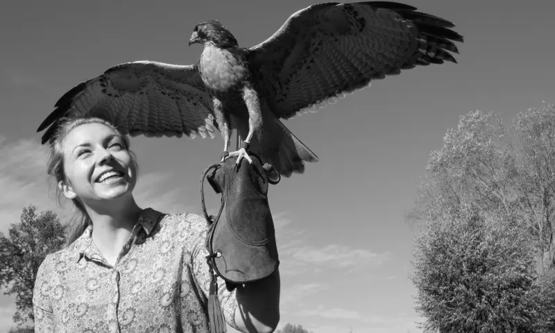 Roofvogel vasthouden