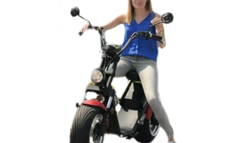 E-Chopper Achterhoek