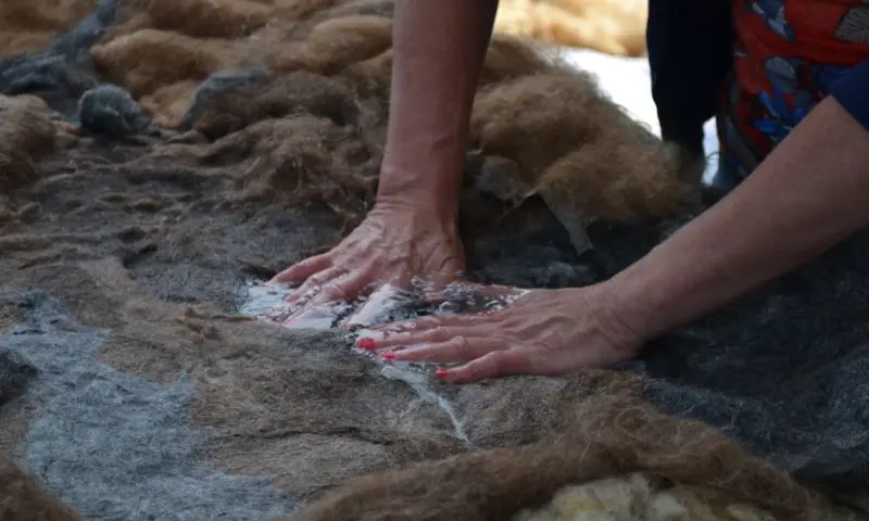 Workshop vachtvilten op De Onlanderij