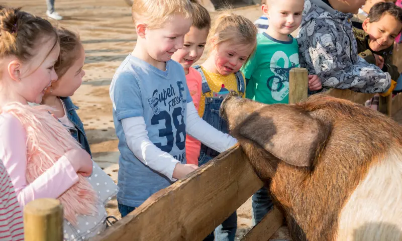 Avonturenboerderij Molenwaard