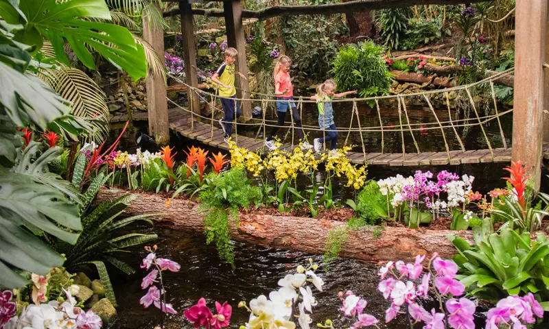 Kleurrijk junglepark