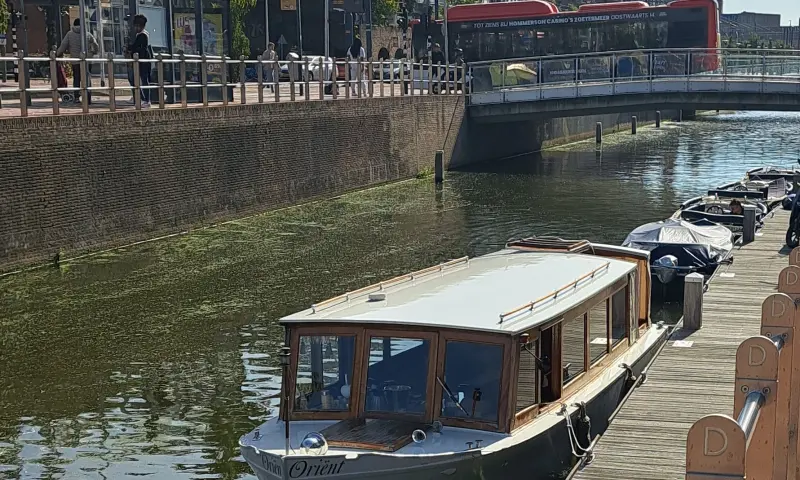 Salonboot