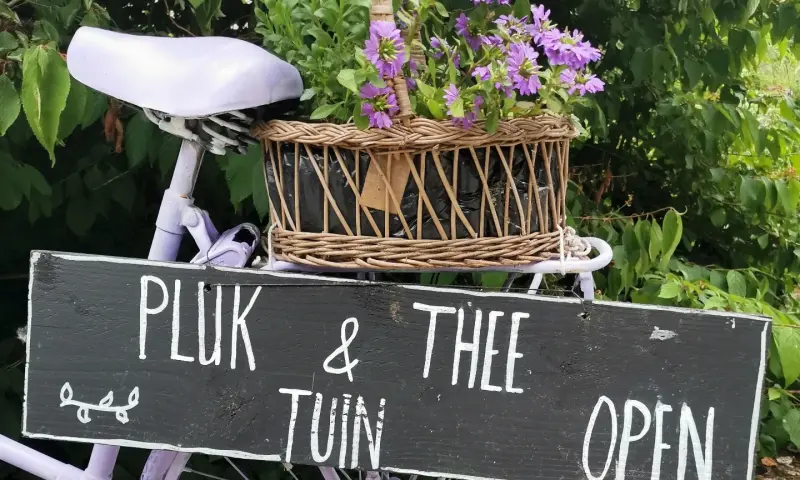 Welkom in de pluktuin