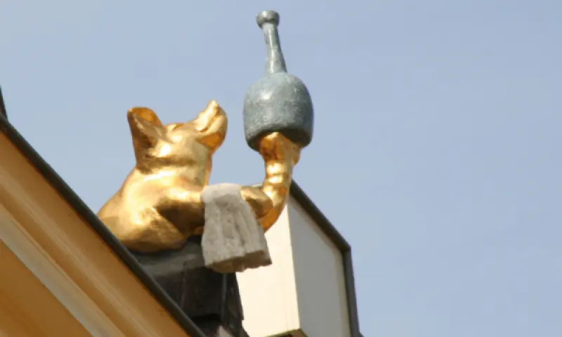 Gootspook Zaltbommel Historisch