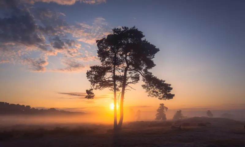 Het ontwaken van de natuur in de Loonse en Drunense Duinen