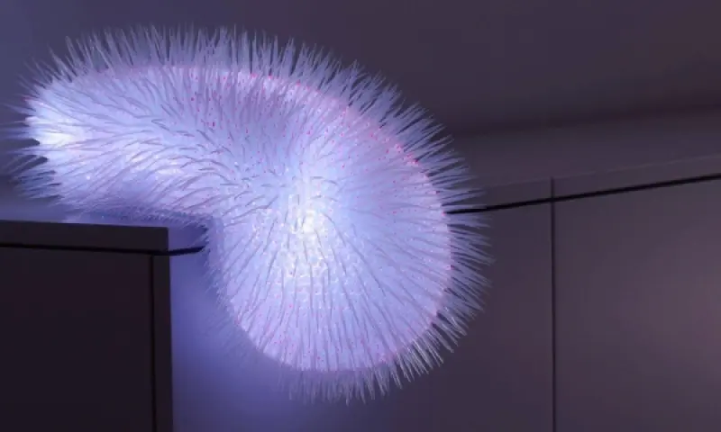 Lichtwesen | Jürgen Reichert