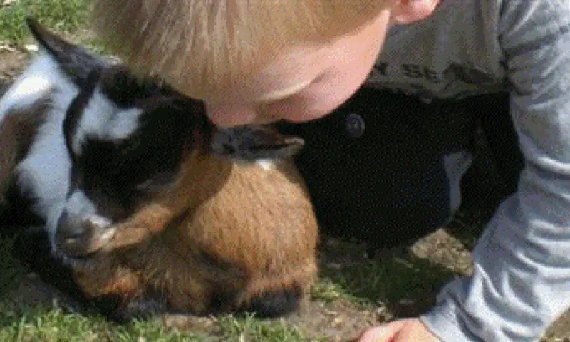 Schommelende kinderen