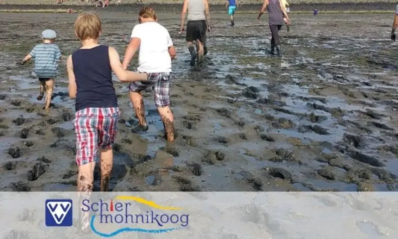 Wad excursie op Schiermonnikoog