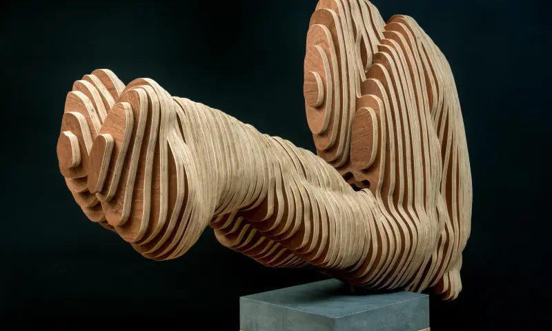 houten sculptuur genaamd Multiplaymate