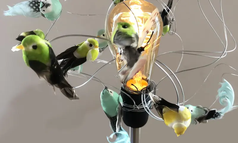 Vrolijke Vogels en Vlinders