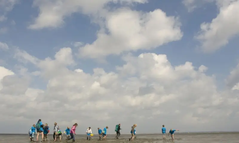 Wadexcursie Schiermonnikoog