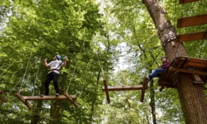 Fun forest Amsterdam