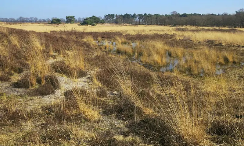 Wandelen in de Duinen