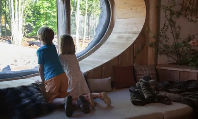 Kinderen kijken naar buiten