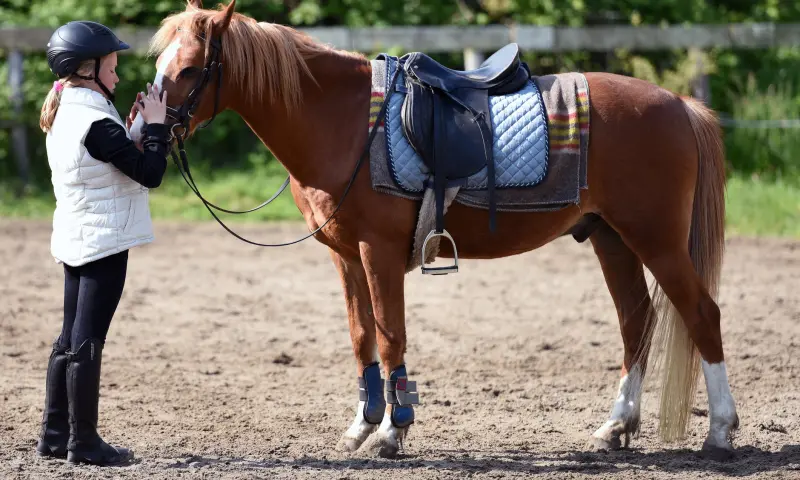 Meisje met paard
