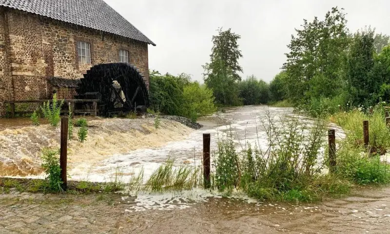Klimaatexcursie met de boswachter