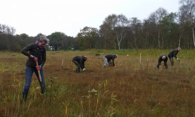 Vrijwilligerswerk in de natuur van Nationaal Park Schiermonnikoog