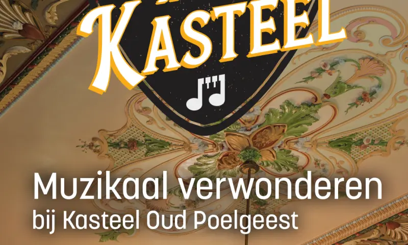 Promobeeld Muziek in het kasteel