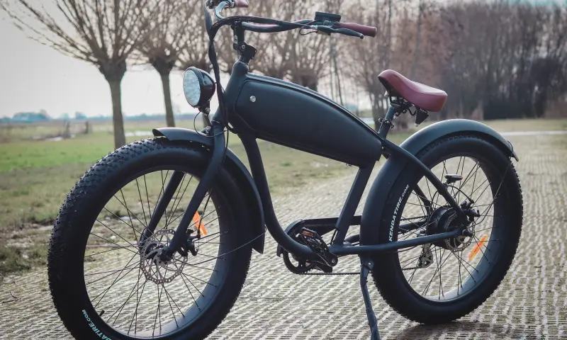 E-fatbike