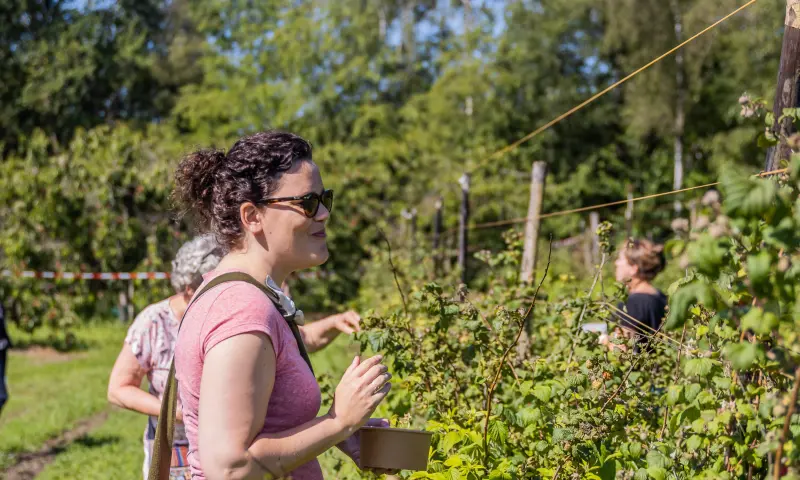 Zelf je fruit plukken bij FrankenFruit in Bergen op Zoom